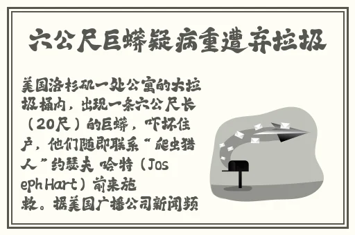 白丝校花 扒腿让我C在线下载